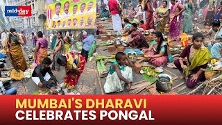 Pongal 2025: Here's how residents of Dharavi celebrate the pious Pongal festival