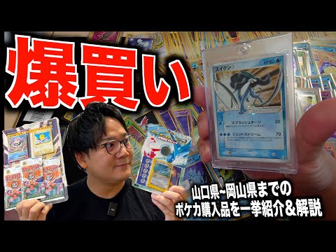 A journey with old Pokemon cards along the coast of Japan