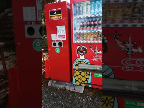 自動販売機　舞妓さんラッピング　仙台市城址