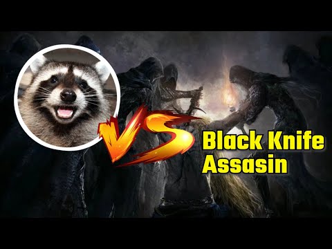 Elden ring: Me vs Black Knife Assasin