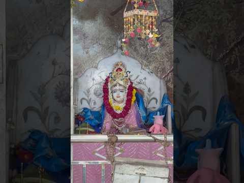 #Radhashtami - Radha Rani Janamsthan Birthplace Raval #radhakrishna #radha #radharani #radheradhe