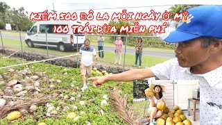 NGƯỜI VIỆT Ở MỸ/KIẾM TIỀN DỄ DÀNG 500 ĐÔ1 NGÀY NÔNG THÔN Ở MỸ/KHÔNG CÓ GIỜ BÁN TRÁI CÂY CHO FREE