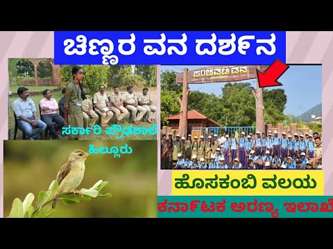 Tourist Place in Karnataka 💚❤💙 #special things in Honnavar #chinnara #highschool #greenheroes #kfd