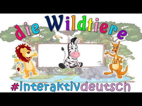 At the Zoo | Die Wildtiere | Deutsch lernen |  PDF Test !Learn Wild Animals in German!