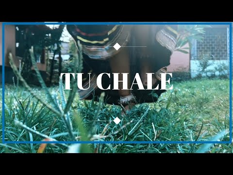 |Tu Chale Dance Cover| | Bollywood style| |Arijit Singh & Shreya Ghoshal|