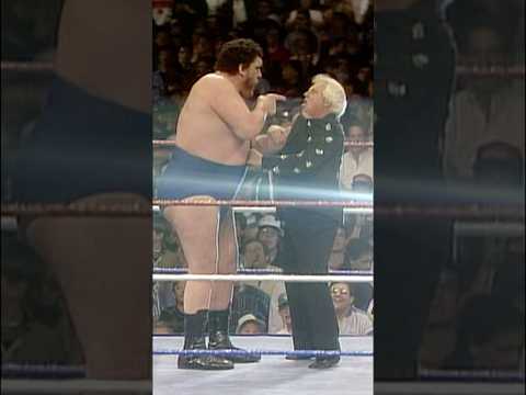 Andre had enough of Heenan!