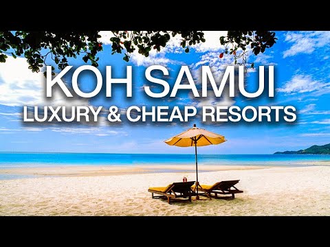 Best Cheap & Luxury Resorts in Koh Samui Thailand | Travel Guide 4k