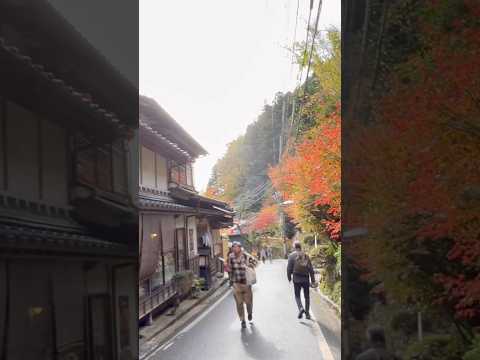 貴船神社　貴船神社のある土地は、気が生じる根源といわれ、清らかなエネルギーが発生しているパワースポットです。#貴船神社