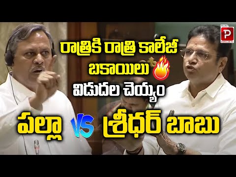 Palla Vs Minister Sridhar Babu | Telangana Assembly | CM Revanth Reddy | Telugu Popular TV