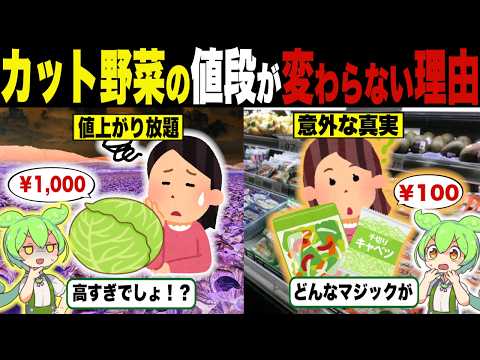 パック入りキャベツの値段が変わらない理由【ずんだもん＆ゆっくり解説】