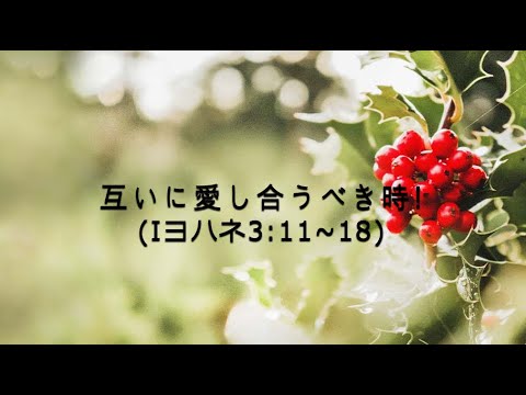 [イェウォン教会 日本語礼拝局] 2024.11.24 - 2部 全体礼拝  - 互いに愛し合うべき時！(Iヨハネ3:11-18)