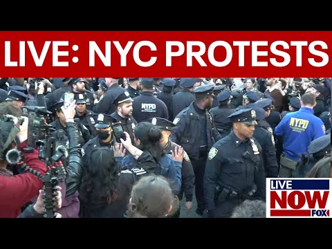 Watch: Chaotic pro-Palestine protests in New York