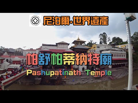 尼泊爾。世界遺產 | 加德滿都 帕舒帕蒂納特廟 Pashupatinath Temple | 第一次逛印度神廟就上手