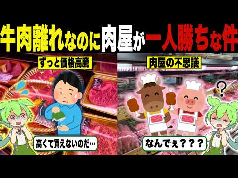 牛肉離れとか言うくせに、肉屋が一人勝ちしてるのはなんで？【ずんだもん＆ゆっくり解説】