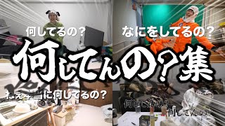 【素に戻って】何してんの？集！【平成フラミンゴ　切り抜きch】