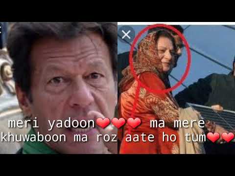 imran khan and nawaz sharif funny status