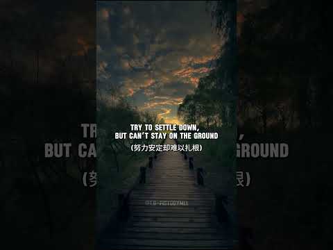 赵露思 - You R | Lyrics | Aesthetic