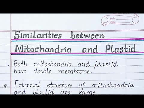 Similarities between mitochondria and plastids