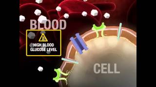 Medication: Metformin