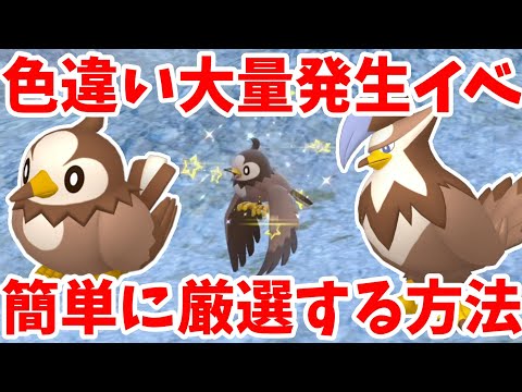 【ポケモンSV】色違い確率アップの特別なイベント！ムックルの簡単な探し方まとめ【ポケモンスカーレットバイオレット・ゼロの秘宝】