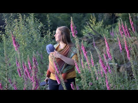 Foxglove Forest | Collecting Colours | # 36