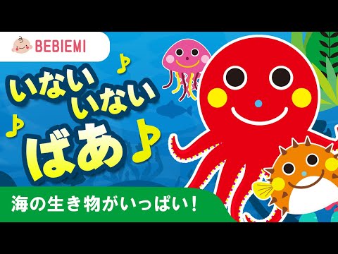 海の生き物のいないいないばあ♪ 赤ちゃん 泣き止む 笑う 喜ぶ 寝る  ばぁ タコ 魚 クジラ かに 可愛い 乳児 幼児 くらげ 海 新生児 知育 学び ひらがな　baby kids peekaboo