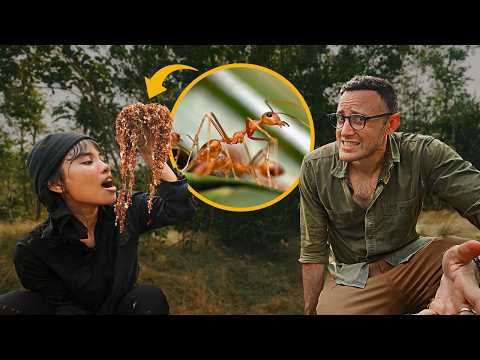 Surviving on Ants in Cambodia: How Asia’s Most Painful Dish is Making a Comeback