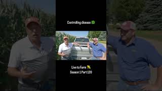 #shorts #shortstrend #shortschallenge #shortsvideo #trendingshorts #shortsviral #short #farming