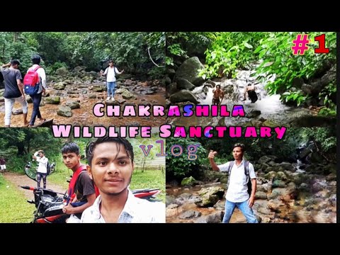 Chakrashila Wildlife Sanctuary vlog | My first vlog | Assam Kokrajhar vlog.vlog r98.#vlogr98