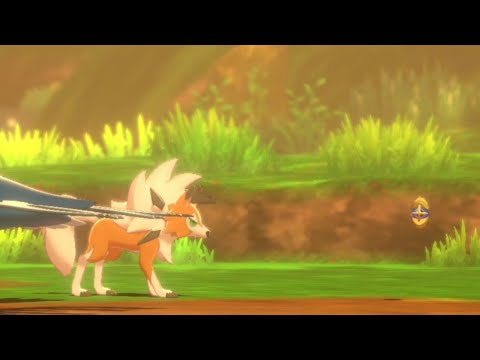 Cosmoem races with Lycanroc