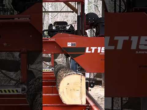 #shortvideo Sawing 3rd Slab from 2nd Poplar Blown Down by Hurricane Helene #woodworking