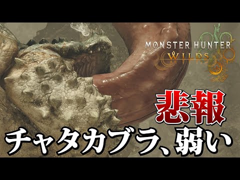 チャタカブラさん、余りにもサンドバッグ【MHWilds】