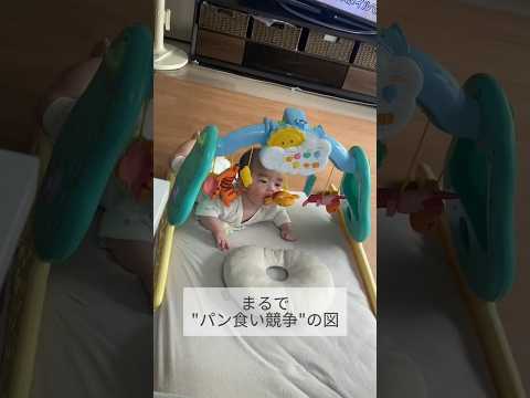 【生後4カ月👶】パン食い競争！？プーメリーに必死すぎる赤ちゃん🤣💕 #Shorts