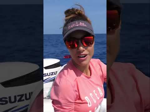 Catch the Big One: Yellowfin Tuna Fishing Adventure