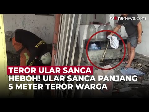 Ular Sanca 5 Meter Muncul di Pos Ronda Surabaya, Berhasil Kabur Saat Ditangkap | OneNews Update