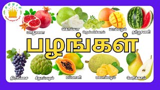 பழங்களின் பெயர்கள்🍎🍌🍇 - Learn Fruit Names in Tamil for Kids | Tamilarasi