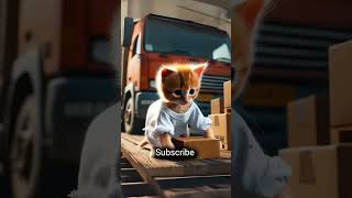 Car hardworking story 😭🥺#emotionalstory #cat #animals