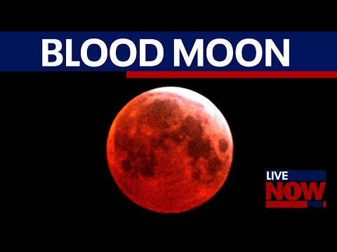 NASA: 'Blood Moon' total lunar eclipse to take place on PI Day | LiveNOW from FOX