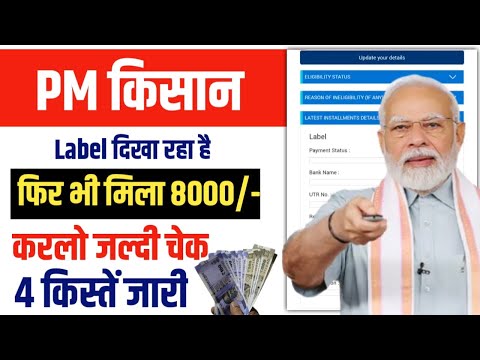 PM Kisan Samman Nidhi Yojana 2025: 19vi kist | Status Label है फिर भी मिल गया पैसा, पूरा 8000