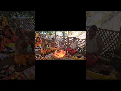 Short vlog (Dussehra Havan)