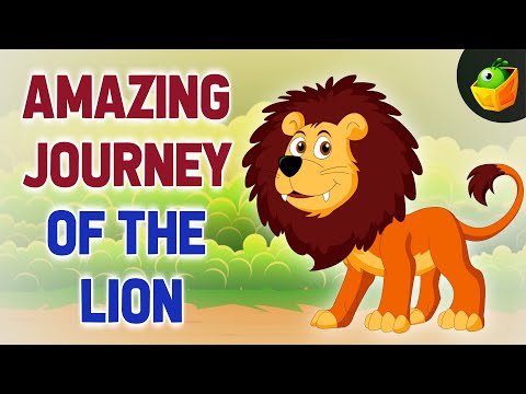 Lion Stories | A Story of Courage and Friendship | The Sleepy Lion and the Noisy Animals | Animated