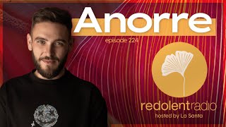 ANORRE Redolent Radio 224