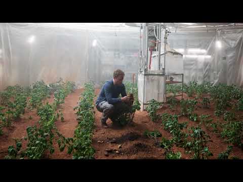 The Martian OST - Sprouting Potatoes 8x Slower