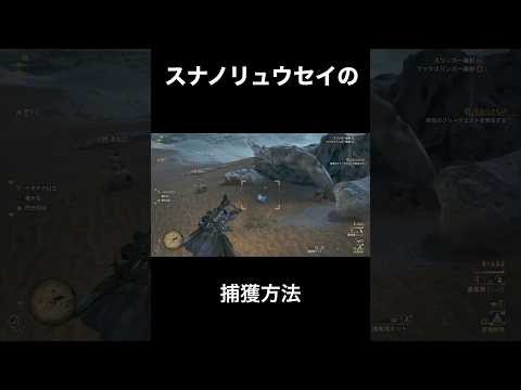 【モンハンワイルズ】スナノリュウセイ捕獲方法【MHWilds】#モンハン