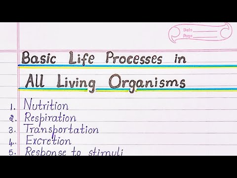 Basic Life Processes in All Living Organisms