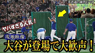 【大谷翔平】大谷がグラウンドに登場で現地大歓声！異例の歓声に選手も驚く！現地映像まとめ！カブスの今永翔太の練習や山本由伸や佐々木の記者会見も！ohtani