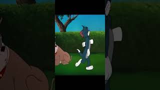 tom and jerry funny scene #video #cartoon #tomandjerrycouple