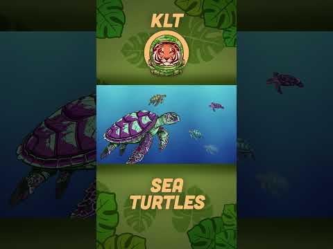 What Do Sea Turtles Eat?! | Sea Animal Songs For Kids | KLT Wild #shorts