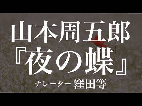 『夜の蝶』作：山本周五郎　朗読：窪田等　作業用BGMや睡眠導入 おやすみ前 教養にも 本好き 青空文庫