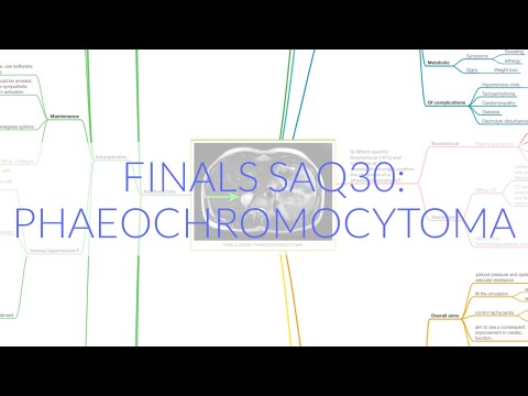 FINALS ANAES SAQ30: PHAEOCHROMOCYTOMA